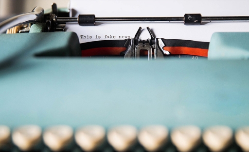 Unveiling the Impact of Misinformation on India's First-Time Voters